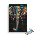 Elephant Colorful Paint By Numbers Kit