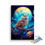 Owl and Colorful Moon Paint by Numbers Kit