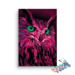 Pink Owl Paint by Numbers Kit