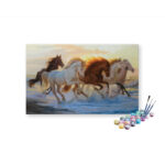 Running Horses at the Shore Paint by Numbers Kit
