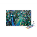 Majestic Peacock Paint by Numbers Kit