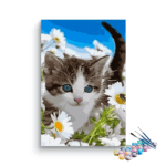 Kitten in Daisies Paint by Number Kit