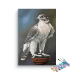 Realistic Falcon Perched Paint by Numbers Kit