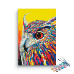 Vibrant Owl Wisdom Paint by Numbers Kit