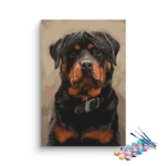 Regal Rottweiler Paint by Numbers Kit