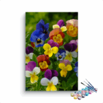 Colorful Flowers Garden Paint By Numbers kit