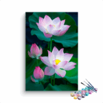 Beautiful Pink and Yellow Lotus  Paint By Numbers kit
