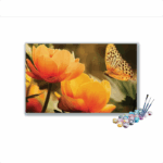 Yellow Flowers and Butterfly Paint By Numbers kit