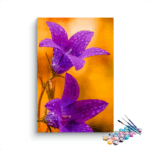 Lily Purple Flower Paint By Numbers kit