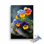 Pansy Perfection: Colorful Blossoms Paint by Numbers Kit