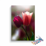Tulip Elegance: Gentle Blooms Paint by Numbers Kit