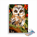 Owl Paint By Numbers Kit For Kids