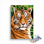 Tiger Face Paint By Numbers Kit For Kids