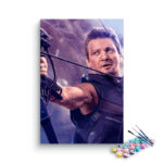 Hawkeye Paint By Numbers kit