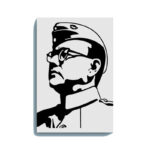 Subhash Chandra Bose Glow in the Dark Painting Kit – DIY Netaji Patriotic Wall Art | Eazy Arts